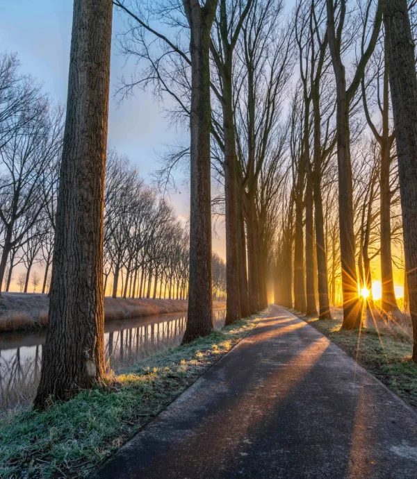 consultes duurzaamheidsscore