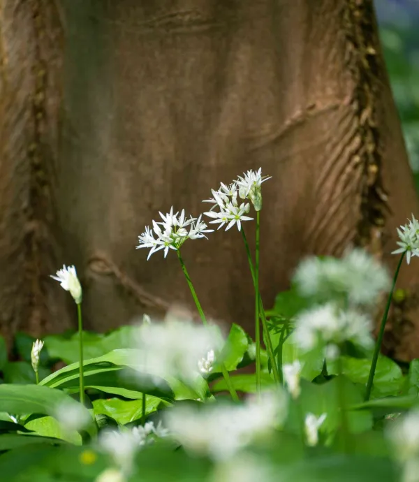 consultes duurzaamheidsscore