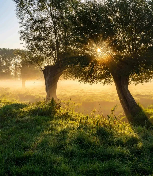 consultes duurzaamheidsscore