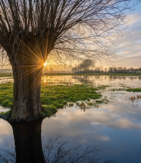 consultes duurzaamheidsscore