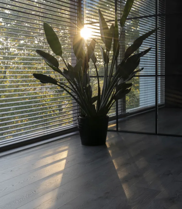 consultes duurzaamheidsscore