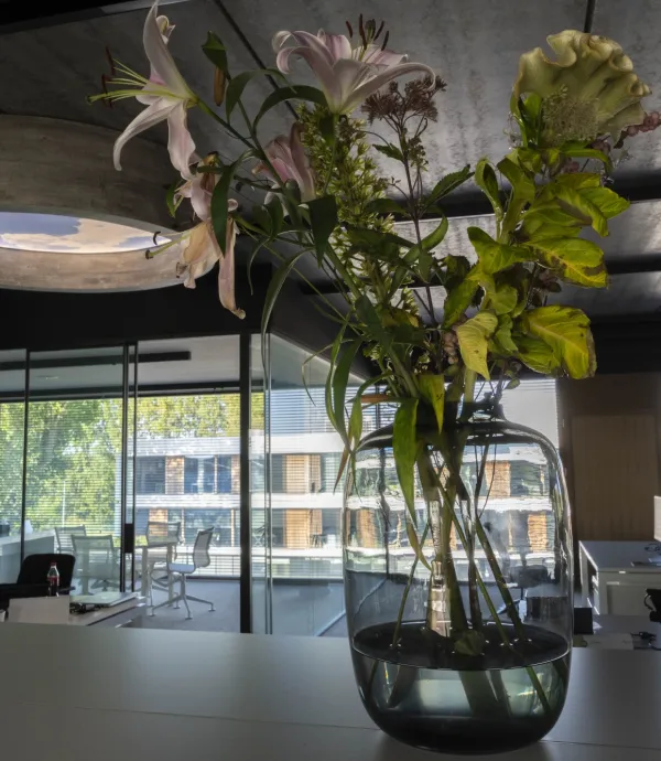 consultes duurzaamheidsscore